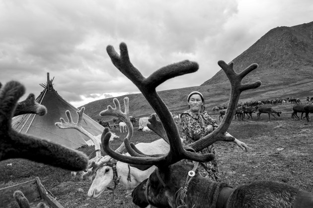 The Nenets Reindeer people, Yamal Peninsula, Siberia - Russia.. Image &copy; Michael Coyne.