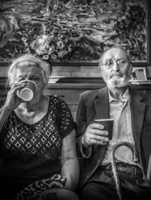 alt text for this image