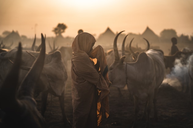 By Peter Bateman. Overall Winner and Winner of Documentary Category, Australasia's Top Emerging Photographers 2025.