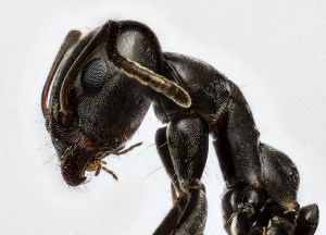 Top Tips to Winning Australasia's Top Emerging Photographers 2023 (part 1)