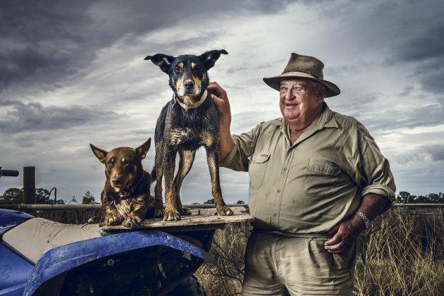 &copy; David Sickerdick. Winner, Editorial.