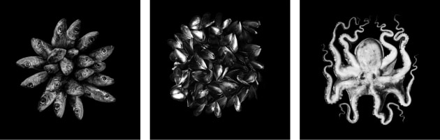 © Raquel Aranda. 3rd place (Black & White) – Australasia’s Top Emerging Photographer 2022.