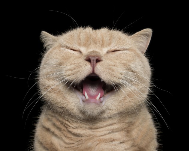 © Alex Cearns. Smile