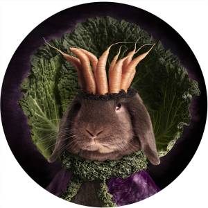 alt text for this image