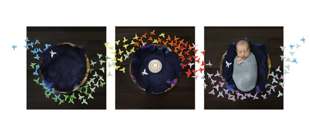 Australian Family Photographer of the Year &ndash; Naomi Reiter APP AAIPP