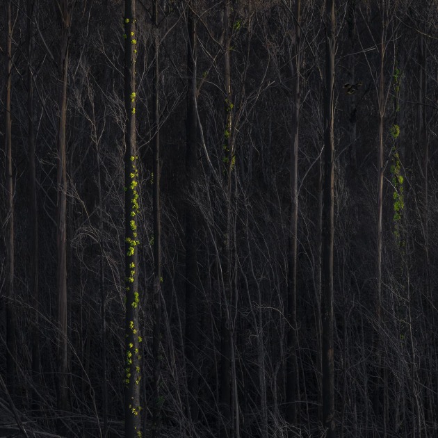 Australian Professional Photographer of the Year & Landscape Photographer of the Year &ndash; Matt Palmer APP M.Photog.