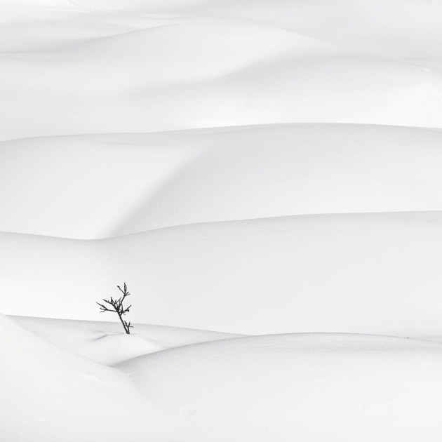 Australian Emerging Photographer of the Year &ndash; Barbara Brown