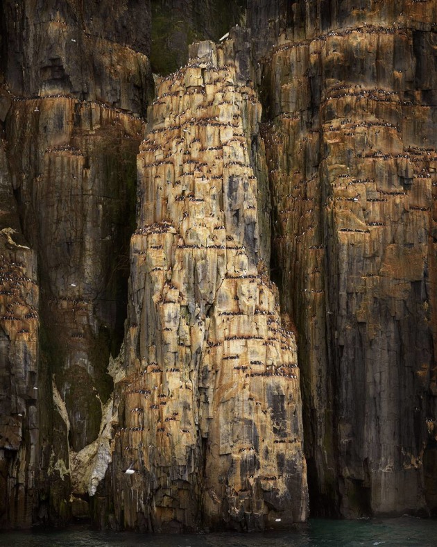 Australian Nature Photographer of the Year &ndash; Peter Eastway APP.L GM.Photog. II P.B. Hon. FNZIPP, FNZIPP, FAIPP, Hon. FAIPP