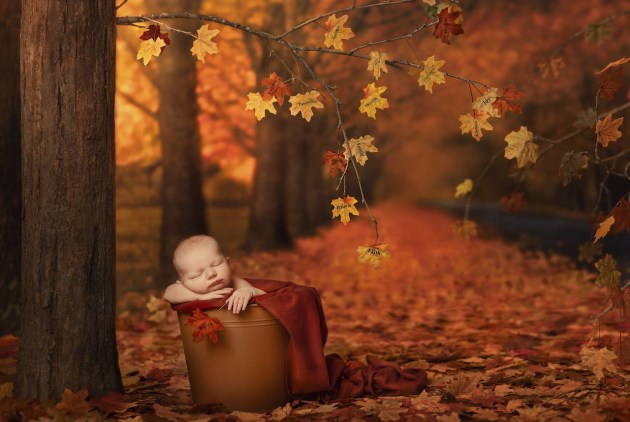 Australian Newborn Photographer of the Year &ndash; Jodie Andrews APP M.Photog.