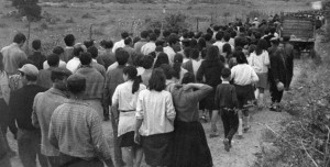 Photobook: Brigantinas by Nicola Lo Calzo