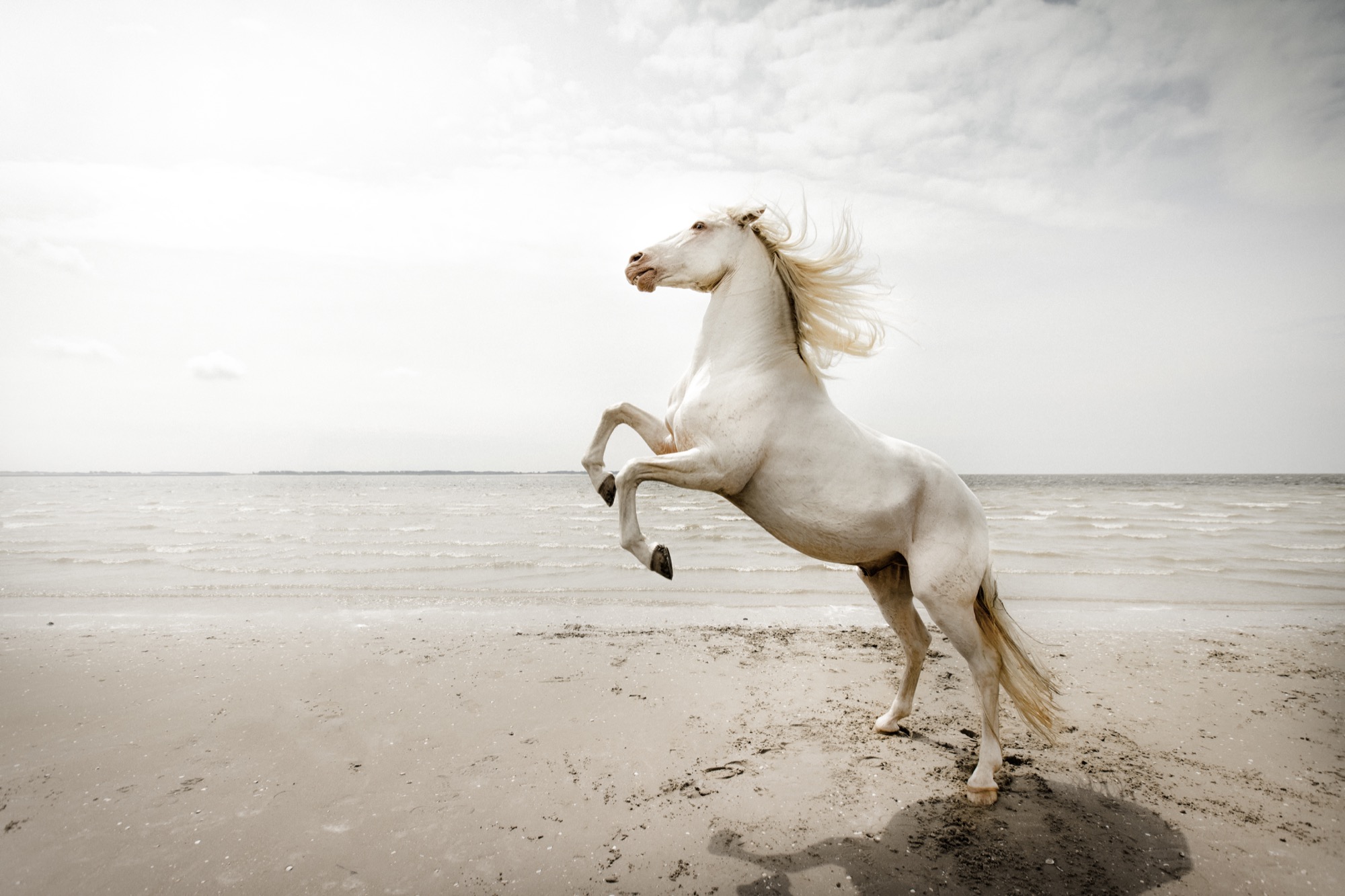 From the Emotions Series 'Anger'. Image © Claire Droppert