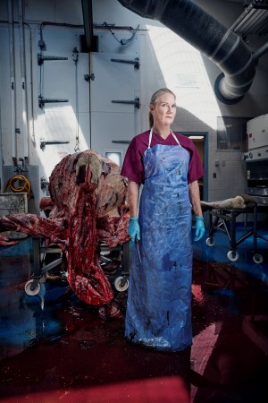 The bovine autopsy by Chris Crisman