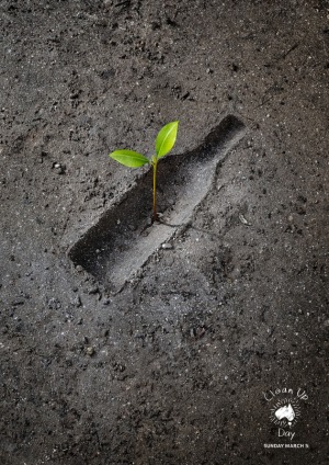 alt text for this image