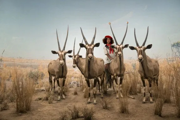 © Cade Martin. Gemsbok, from the series, Diorama.