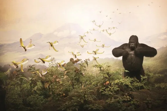 © Cade Martin. Gorilla, from the series, Diorama.