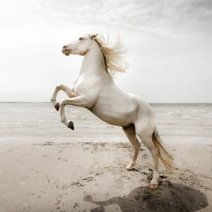 Featured Photographer: Claire Droppert