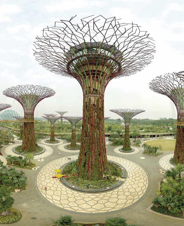 &copy; Olaf Otto Becker. Supertree Grove, Gardens by the Bay, Singapore 10/2012, from the &lsquo;Reading the Landscape&rsquo; series, pigment inkjet print, 187 x 156 x 5 cm.