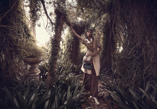 © Steven Popovich. A Rose by Any Name.