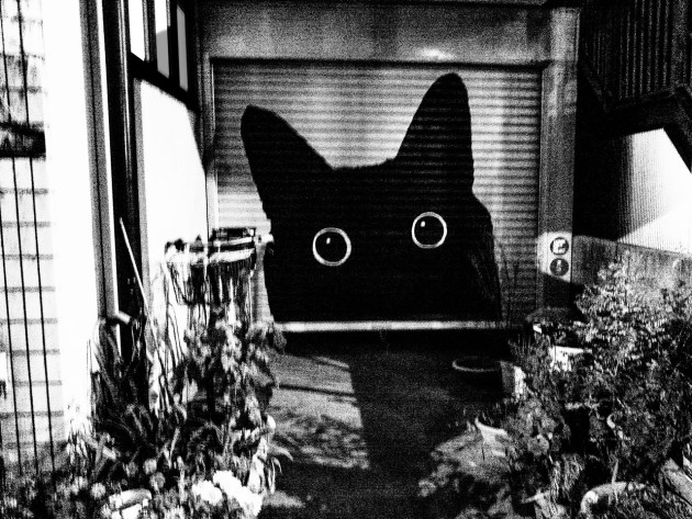 Image: Tony Maniaty/supplied