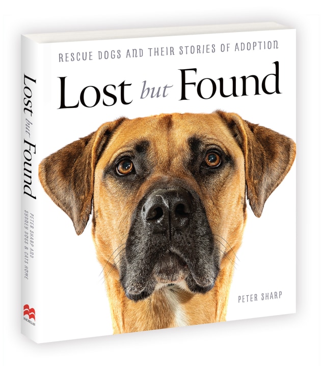 Lost but Found by Peter Sharp.