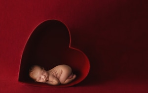 Newborn photography: labour of love