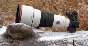 Review: Sony 300mm f/2.8 GM OSS lens