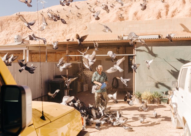 © Abigail Varney. Jimmy and his pigeons, from the series, Rough & Cut, 2017.