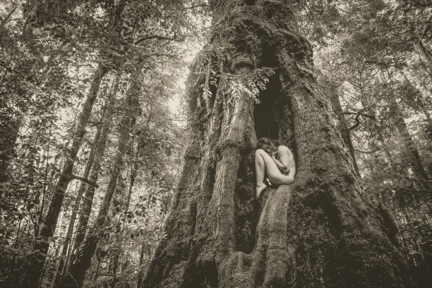 Yoni tree. I was invited to document a 12-day wilderness therapy immersive deep in the Tarkine Rainforest, a place very dear to my heart and an ethos I deeply believe in. Near the end, each person undertook a 4 day solo experience and some asked that their personal relationship with self and place be captured at some stage in that time. This was one of those moments. Image: Paul Hoelen
