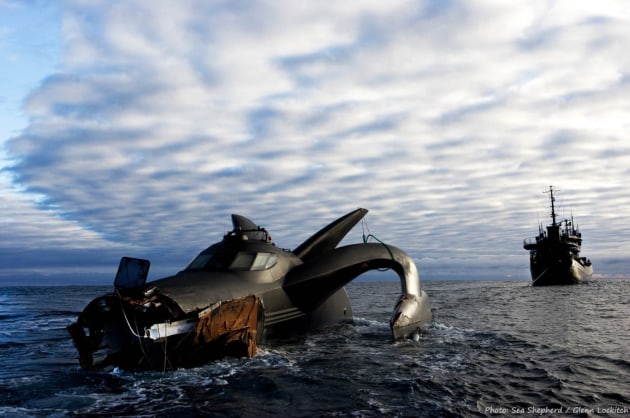 Southern Ocean, Antarctica, 2010.
The Sea Shepherd ship, the Ady Gil, rammed and fatally damaged the day before by the Japanese Government security ship, the Shonan Maru 2, is towed by another Sea Shepherd, the Bob Barker, initially to a French navy-scientific base in the Antarctic.
After a day and a half of the Bob Barker unsuccessfully towing the Ady Gil all fuel and contaminants were removed and it was left behind so that the Bob Barker could continue to hunt down the Japanese whaling fleet.
The Sea Shepherd Waltzing Matilda Antarctic Campaign 2009/2010 was the most successful Antarctic campaign in its history to date, saving 528 whales and costing the Japanese whalers over $100 million. Image: Glenn Lockitch