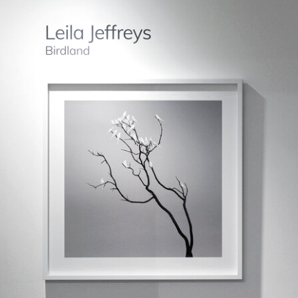 High Society exhibition at Olsen Gallery. Image Leila Jeffreys