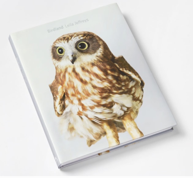 Image Leila Jeffreys