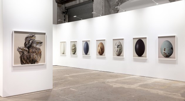 Image Leila Jeffreys